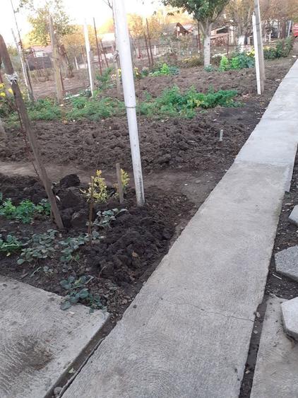 Vand casa pentru locuit utilata - 5