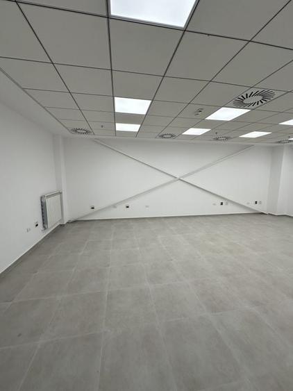 Hale de inchiriat aproape de DNCB - 4