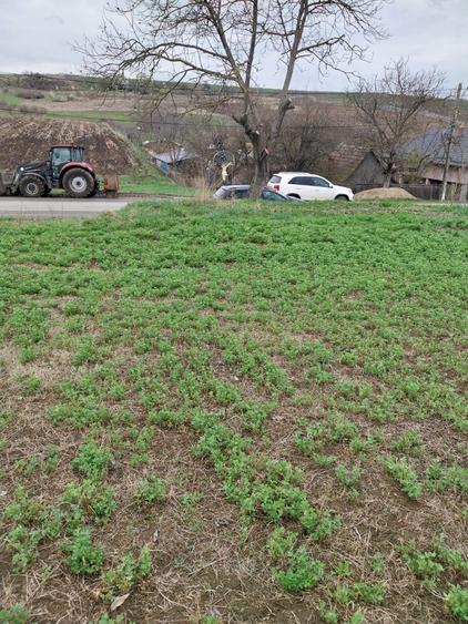 Teren intravilan - 2