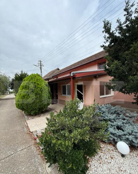 Ferma de Vanzare in judetul Timis, la nord est de Timisoara, - 26