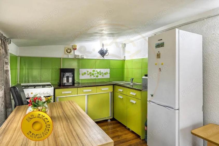 Doua case in aceeasi curte Pitesti, Strada Turcesti - 6