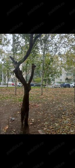 Vanz gars la P din 4, 16 mp, bloc de ap ?i gars, 1994, izolat,sect 2-zona Doamna Ghica, 32000 Euro - 2