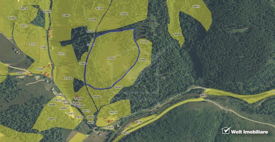 Se vinde teren cat un munte in Apuseni - Poiana Horea - 16