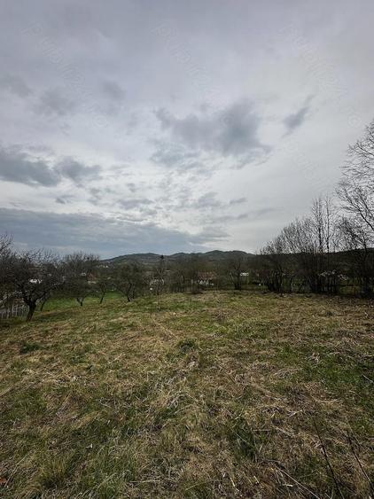 Casa si teren de vanzare(2700 mp), com Mica - 4