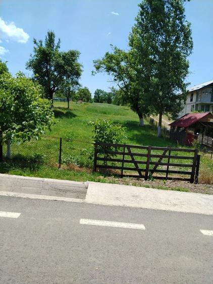 Vand teren la pret bun - 3