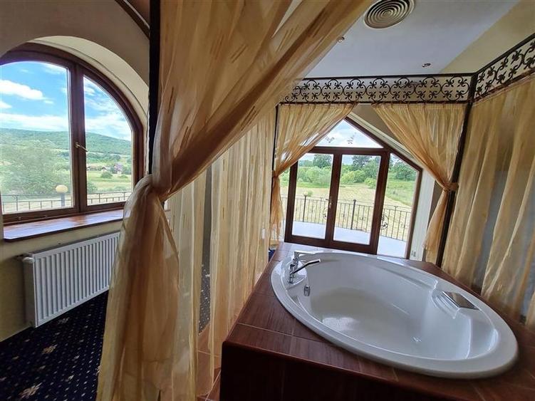 Film & Tur LIVE! Rafinament in cartier linistit, pe 30.000 mp teren paradis, fac - 9