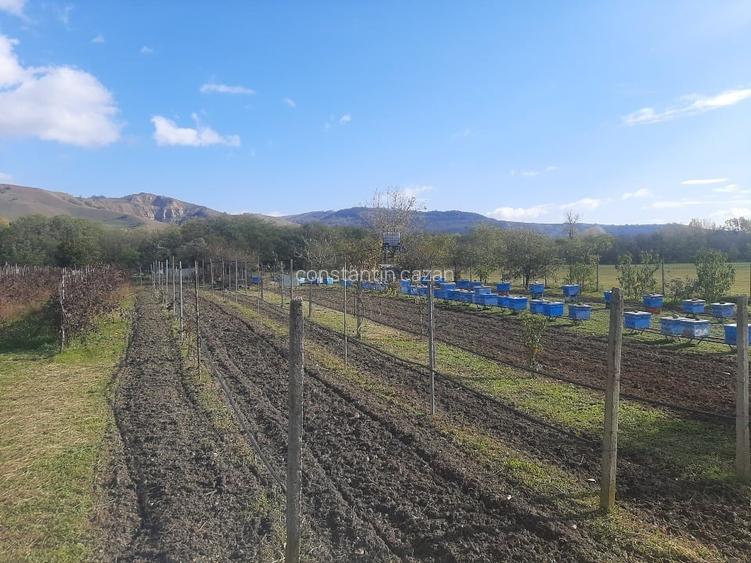 Vand parcela teren extravilan