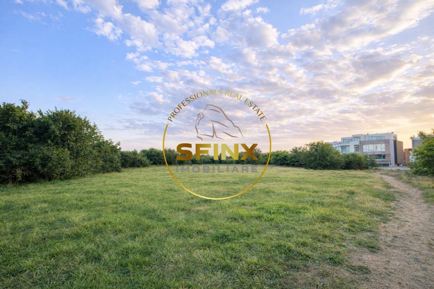 Teren de vanzare 10000 mp Baneasa Sisesti deschidere la Lac - 10