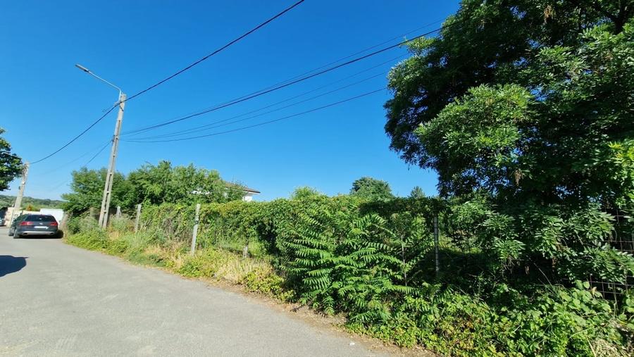 De Vanzare Teren Cernica Strada Luceafarului Zona Lac Padure 1500 MP FS 30 M - 5