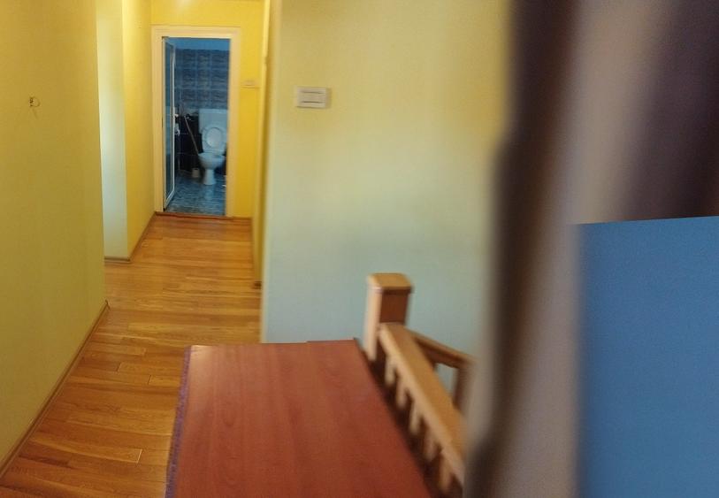 Vila deosebita, libera, zona centrala, ideal resedinta sau clinica, birouri - 20