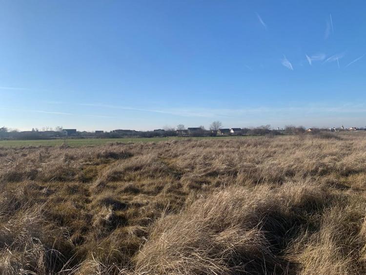 Teren pentru duplex in Sacalaz - 600 mp, in Spatele Cartierului Primaverii - 6