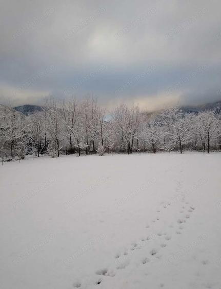 House for sale, 5 Rooms, 180 sqm, Valea Dejani - 4