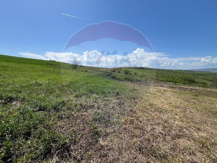 Teren Dezmir, parcela de 500 mp, casa individuala - 6