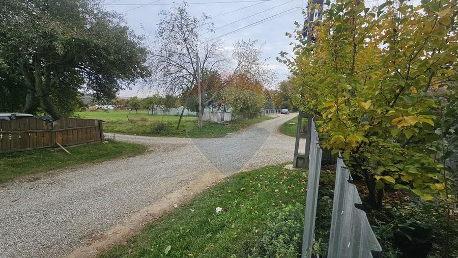 Casuta de la tara - 28