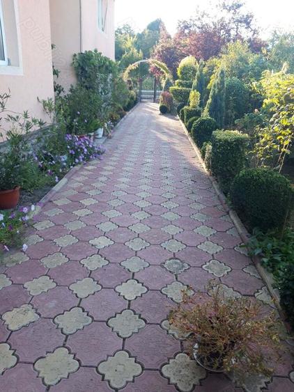 Casa de vanzare in ciuperceni Stramba Vulcan Gorj - 4