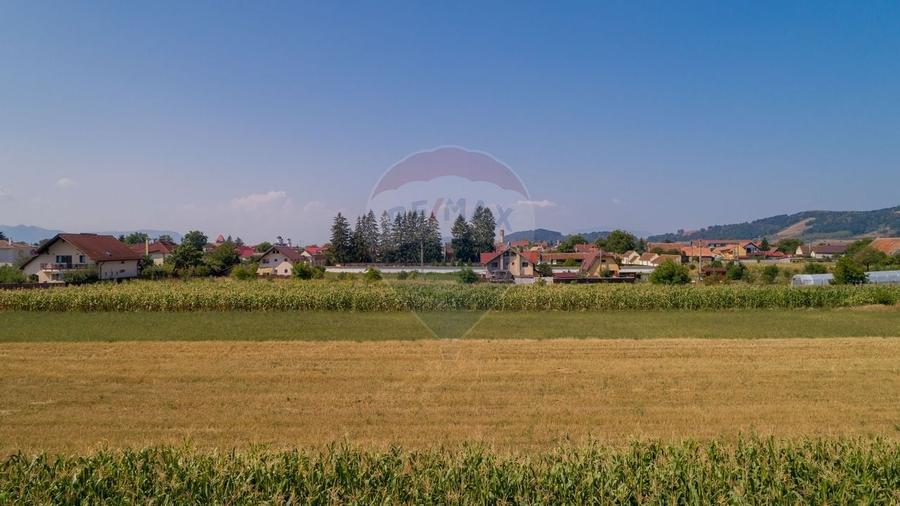 Comision 0 %! Teren intravilan de vanzare, Harman! - 6