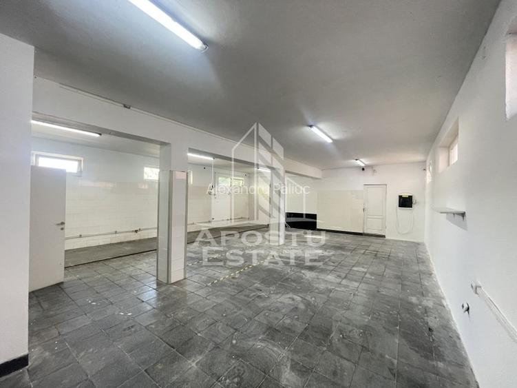 Spatiu pentru productie, 157 mp+ curte acoperita 60 mp, Zona Sagului Spatiu pentru productie, 157 mp+ curte acoperita 60 mp, Zona Sagului