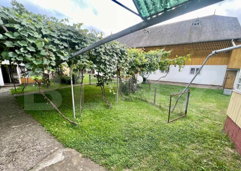 Casa + Teren Intravilan 4000 mp - Boroaia - 1