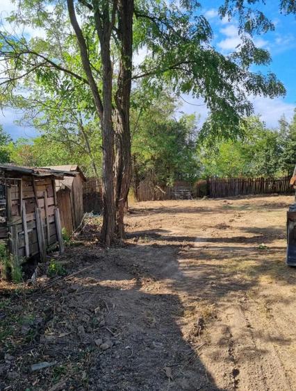 Baldana/Tartaresti/Teren intravilan /extravilan+casa/ - 3