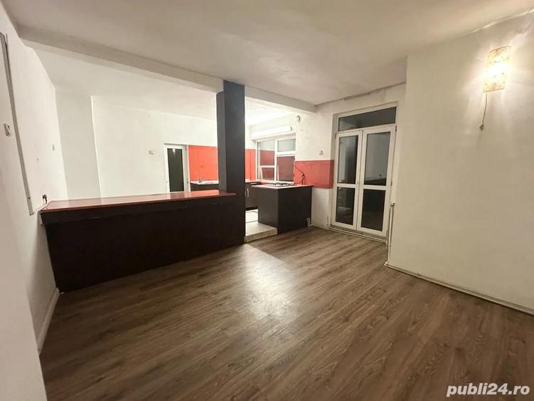 Vila in zona centrala, Pisica Alba - 4