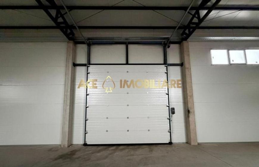 Spatiu Comercial | Hala | Afumati | DN2 | A0 | 420 MP - 3