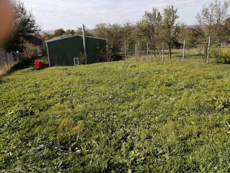 Hala la cheie si teren 4000 mp, Bontida - 3