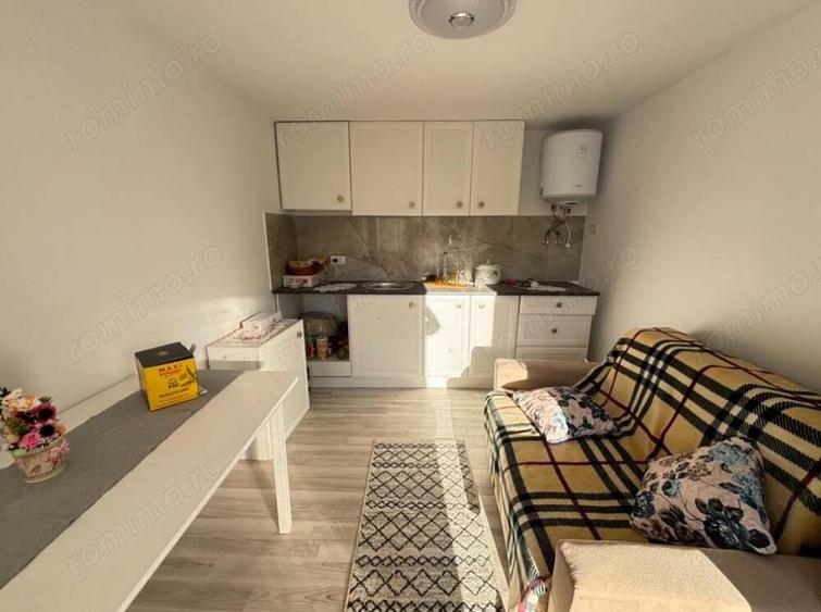 vand teren dumbravita 79000 euro - 7