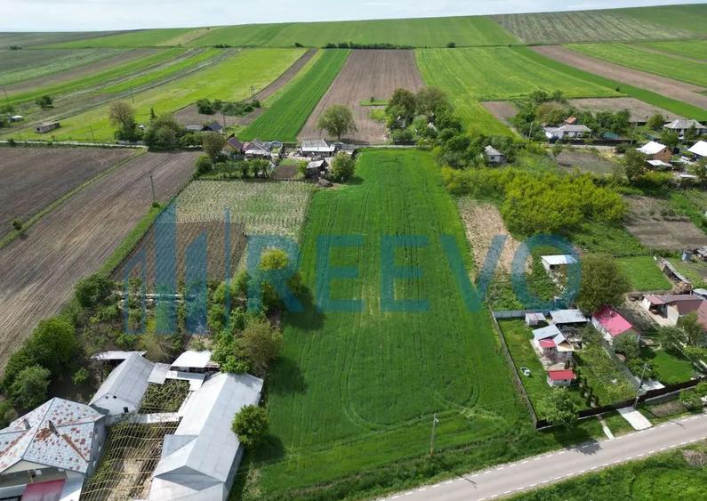 Teren de vanzare, Sat Valea Mare, Com. Ro?iori, Bacau - 12