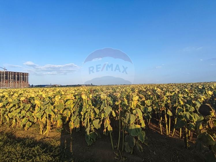 De Vanzare Teren cu Destinatie Rezidential | Berceni | Ocazie! - 2