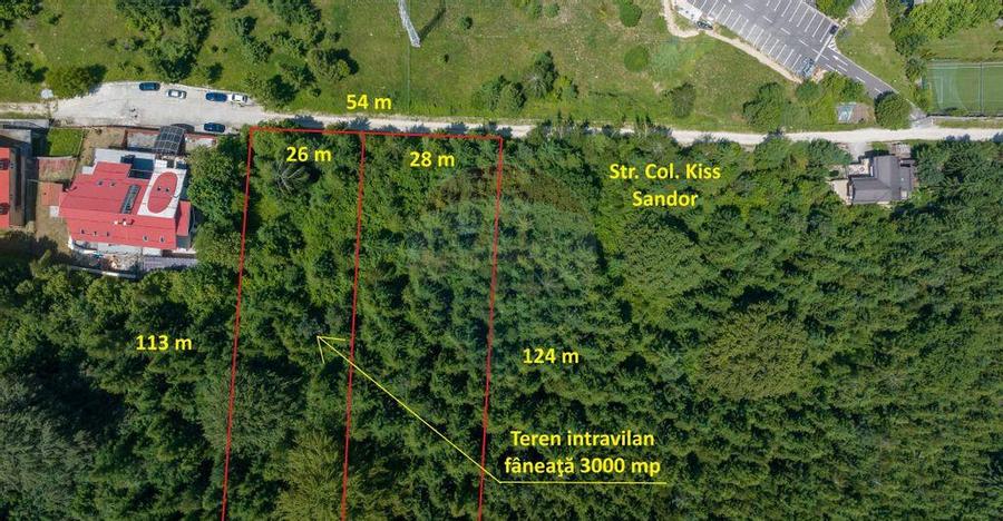 Teren intravilan, 3000 mp, Dambu Morii - 7