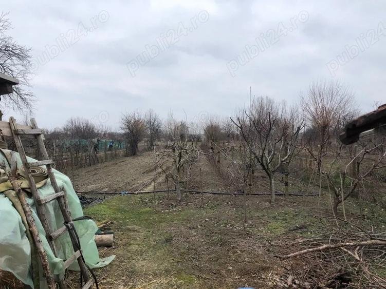 casa de vanzare sat isvoarele judetul giurgiu - 10