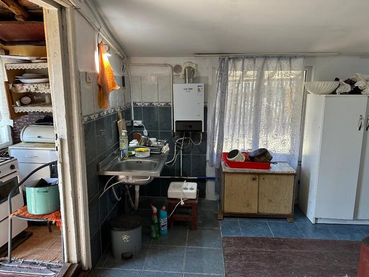 Casa batrineasca cu approx 2800 mp teren, vie, pomi fructiferi, zmeura, coacăze - 8