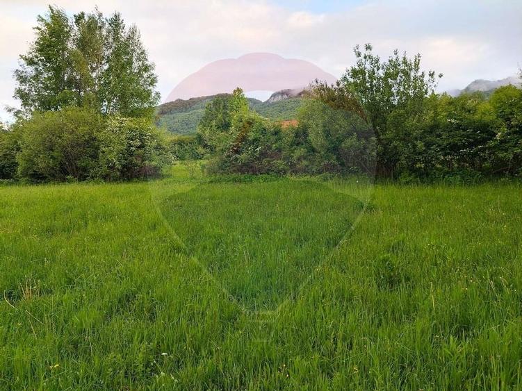 Teren Bran-Zarnesti - Tohanita, 4223mp - 15