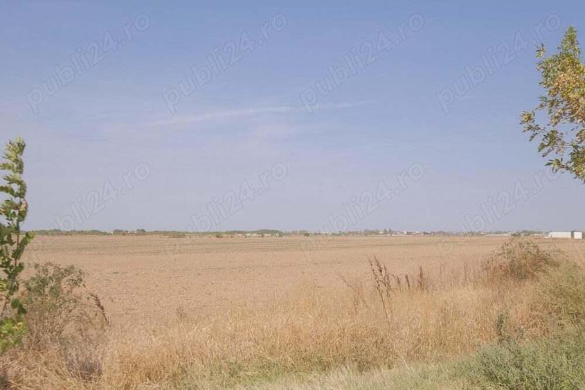 Mihailesti - Giurgiu, vav de Dovinot Ballroom, 57.000 mp. teren cu deschidere la DN6 - 2