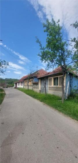 Casa de in Uileacul de Beius gospodarie traditionala,... - 8
