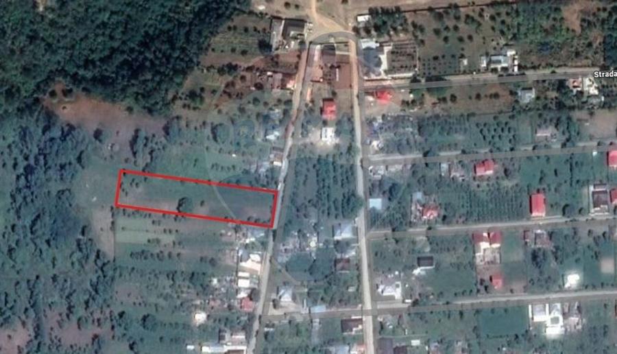 Teren intravilan  7370 mp in comuna Mera - 2