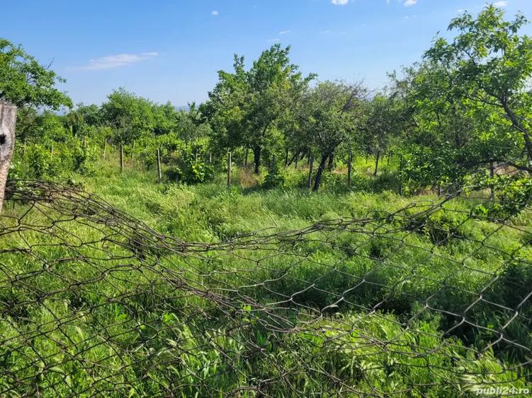 Casa batraneasca laga Vama Albita, - 4