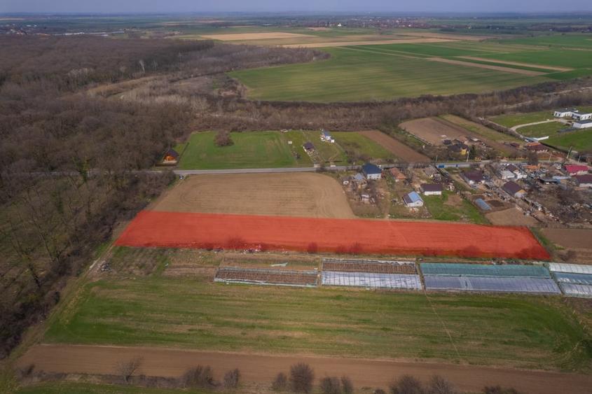 NUCI - BALTA NEAGRA, LOT 3900 MP, LA PADURE! - 5