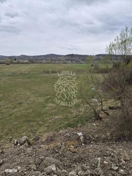 Teren 1000 mp-Oportunitate de Investitie-Zona Aerodrom - 1