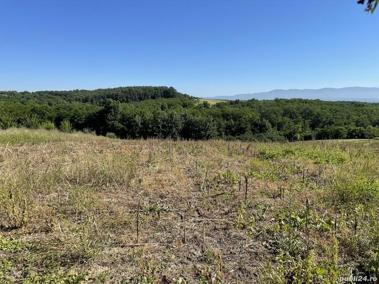 Teren de 1600 mp, în Cuied