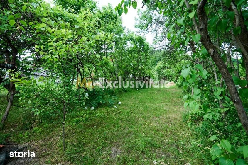 Casă cu 3 camere cu Teren 4696 Mp în Central