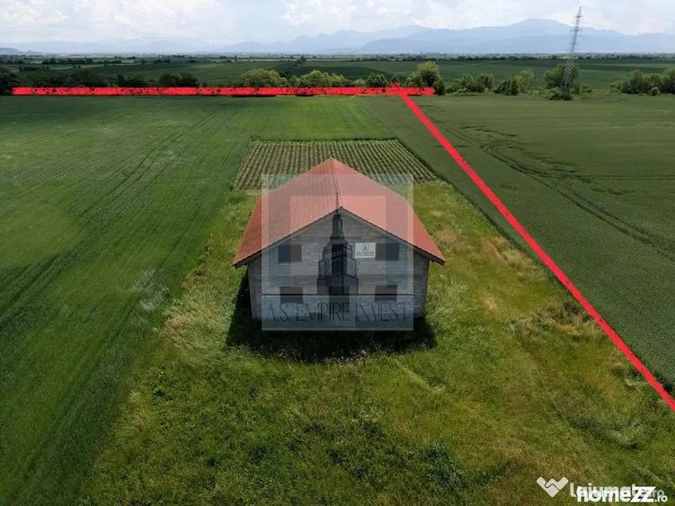 Teren de 50000 mp, în Hălchiu
