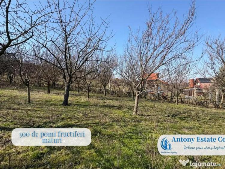 Casa cu Livada proprietate deosebita cu livada si cur... - 12