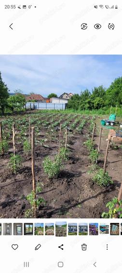 Casa exclusivista de tip duplex cu terasa panoramica- jumatate de duplex - 2