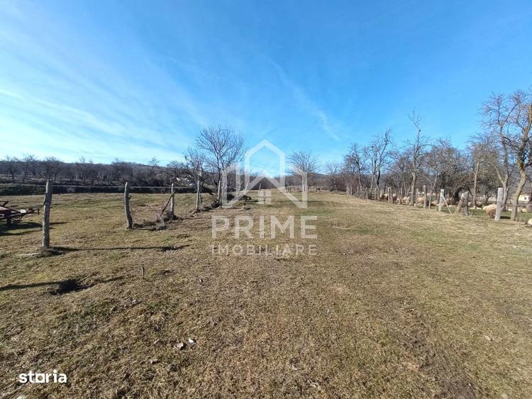 Teren Generos in Paclisa Intimitate si Natura la un pas de oras - 2