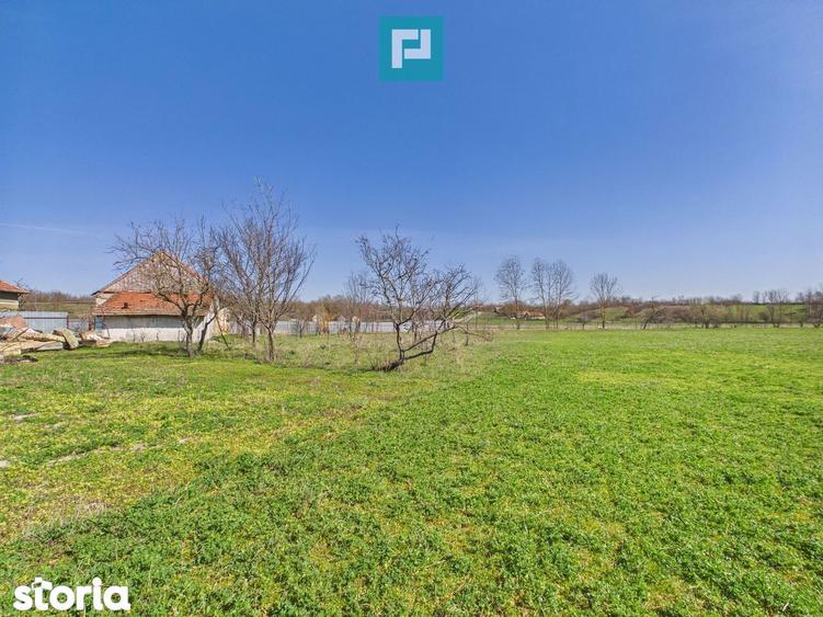 Casa cu teren de 6000 mp in Duboz, Timi? - 4