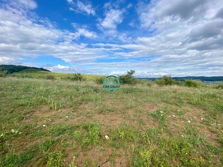 Vand teren intravilan cu suprafata 3300 mp in Livezeni - 4