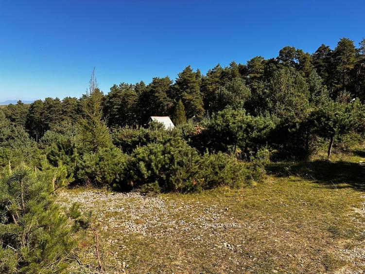 0% Comision- Teren cu constructie, langa padure-600 mp, Purcareni - 10