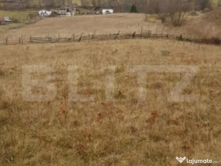 Teren ?aru Dornei 5 hectare - 5