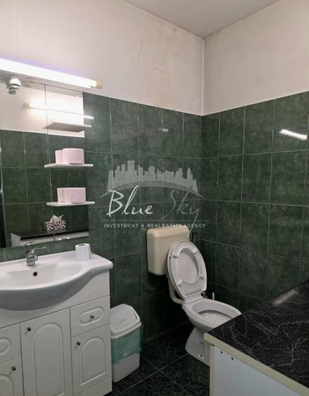 Spatiu pentru birouri, Centru-Str. Stefan Mihaileanu - 11